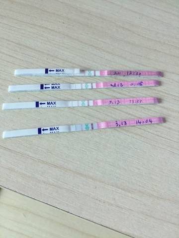 journal_insert_pic_692699706