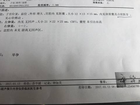 journal_insert_pic_692420638