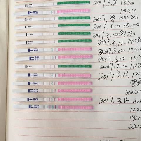 journal_insert_pic_693265471