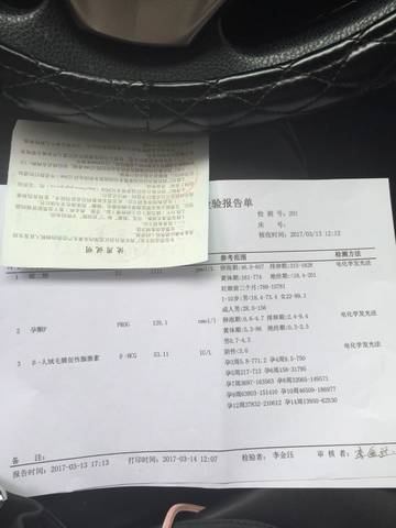 journal_insert_pic_693609056
