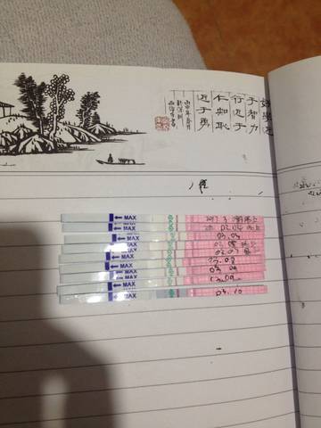 journal_insert_pic_694263204