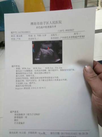 journal_insert_pic_694717229