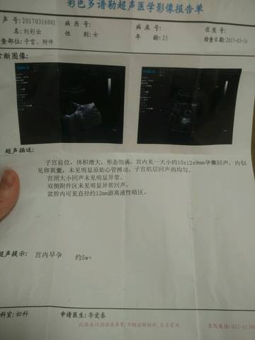 journal_insert_pic_694752507