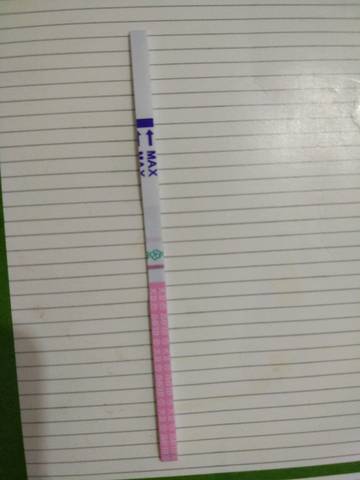 journal_insert_pic_695133804