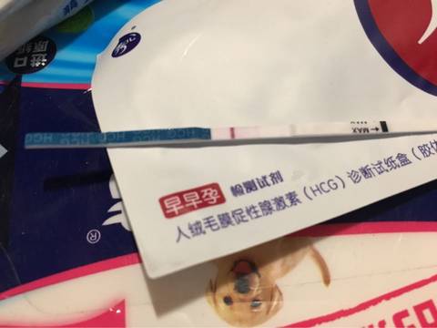 journal_insert_pic_695859219