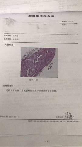 journal_insert_pic_695863245