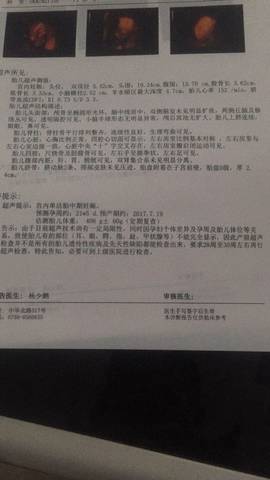 journal_insert_pic_695585520