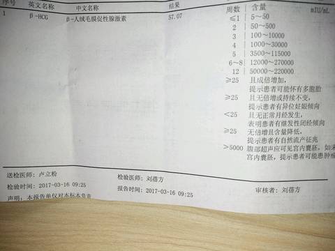 journal_insert_pic_696089893