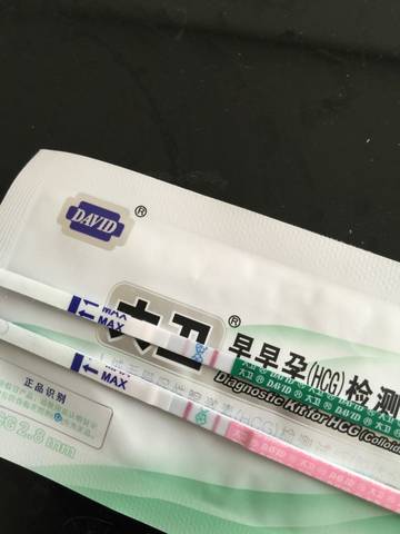 journal_insert_pic_696277127