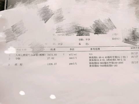 journal_insert_pic_696402744
