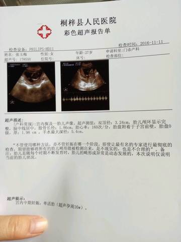 journal_insert_pic_696292889