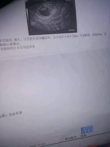 journal_insert_pic_696521898