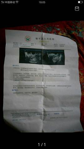 journal_insert_pic_696801502