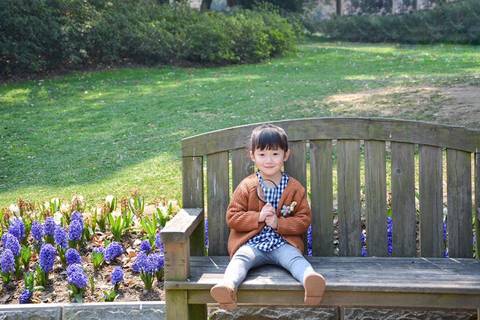 journal_insert_pic_696806671