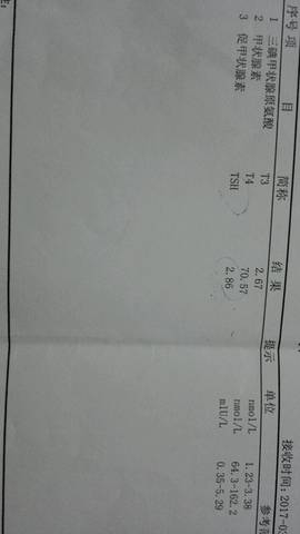 journal_insert_pic_697842989