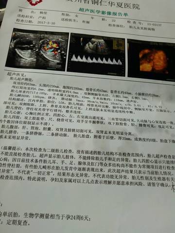 journal_insert_pic_697646430