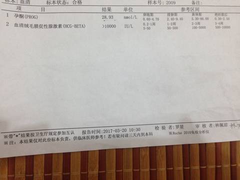 journal_insert_pic_697968901