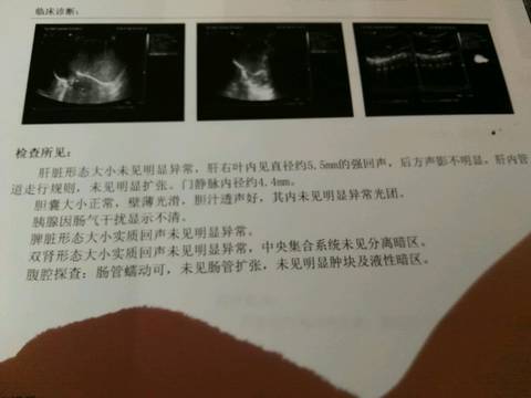 journal_insert_pic_698350015