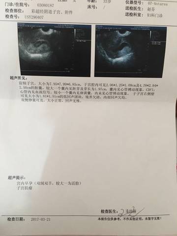journal_insert_pic_698952508