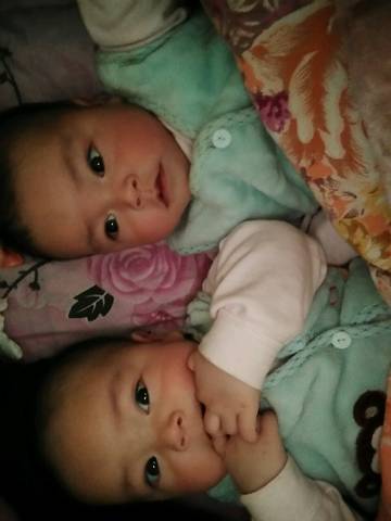 journal_insert_pic_698343430