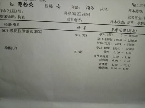 journal_insert_pic_698922506