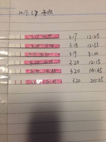 journal_insert_pic_698409409