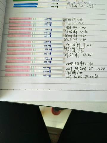 journal_insert_pic_698596986