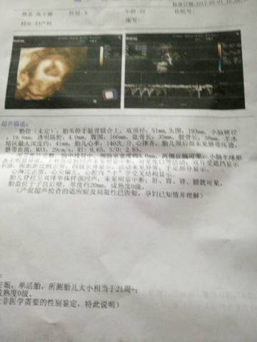 journal_insert_pic_698749454