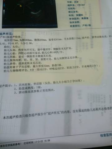 journal_insert_pic_699566295