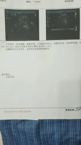 journal_insert_pic_699603397