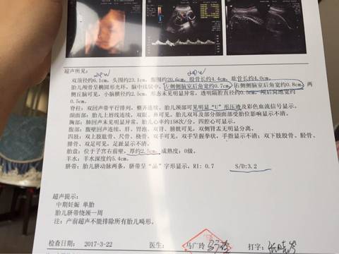 journal_insert_pic_700117393