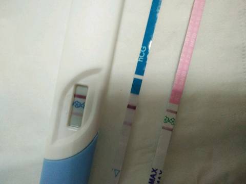 journal_insert_pic_700978063