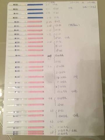 journal_insert_pic_702043113