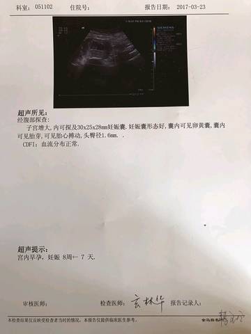 journal_insert_pic_701534529
