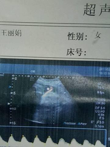 journal_insert_pic_703212328