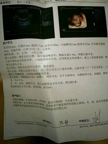 journal_insert_pic_703156777