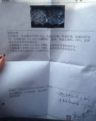 journal_insert_pic_703210278