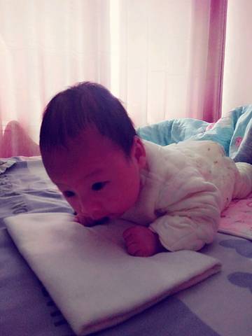 journal_insert_pic_702827797