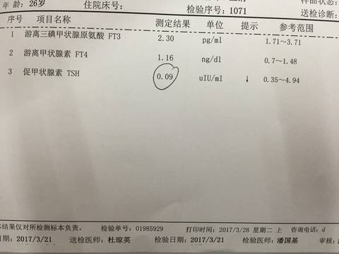 journal_insert_pic_704140648