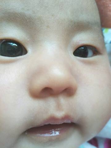 journal_insert_pic_703996392