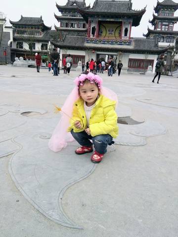 journal_insert_pic_704105215