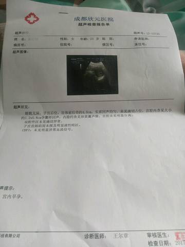 journal_insert_pic_703920810