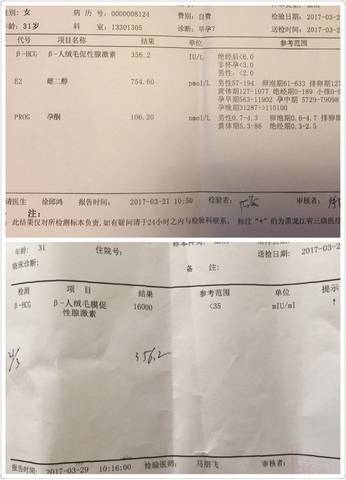 journal_insert_pic_704613026