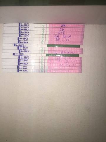 journal_insert_pic_704569416