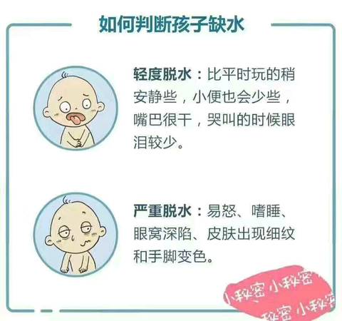 journal_insert_pic_705282543