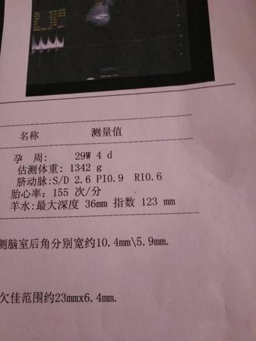 journal_insert_pic_705571448
