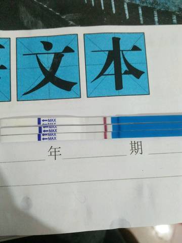 journal_insert_pic_705611553
