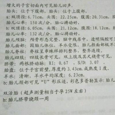 journal_insert_pic_706350609