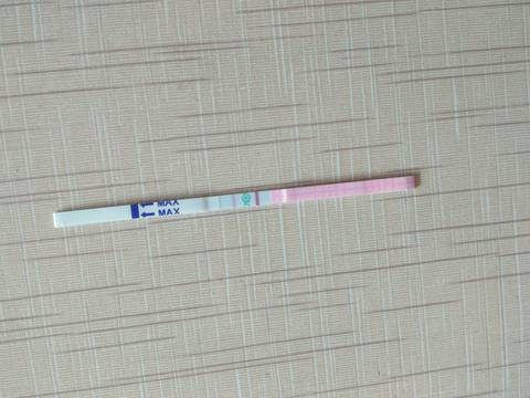journal_insert_pic_706020515