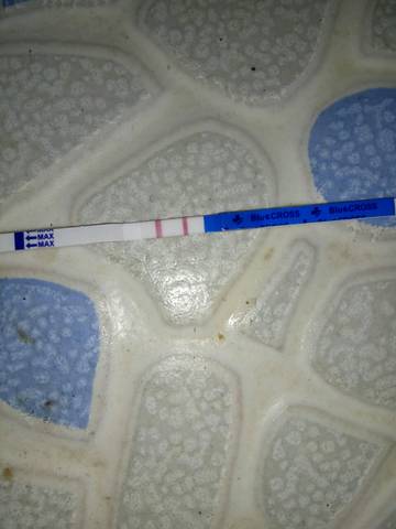 journal_insert_pic_706739180